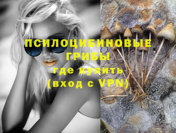 тгк Алзамай