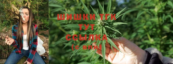 СК Алексин