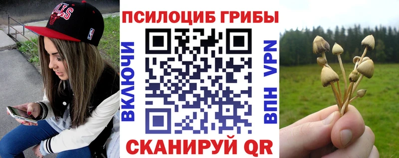 как найти закладки Грязовец Псилоцибиновые грибы ЛСД
